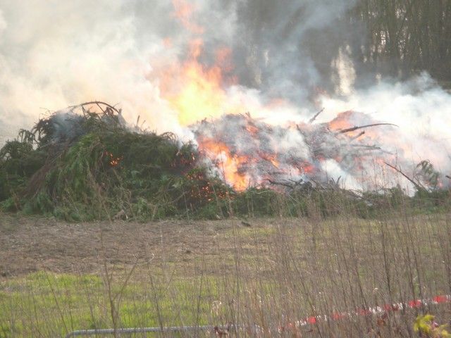 carnaval  24 mars 2013 (107).jpg